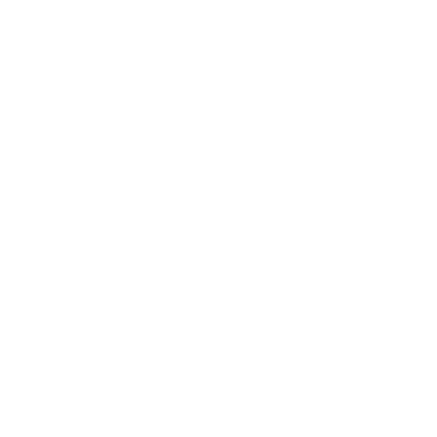 phone-icon